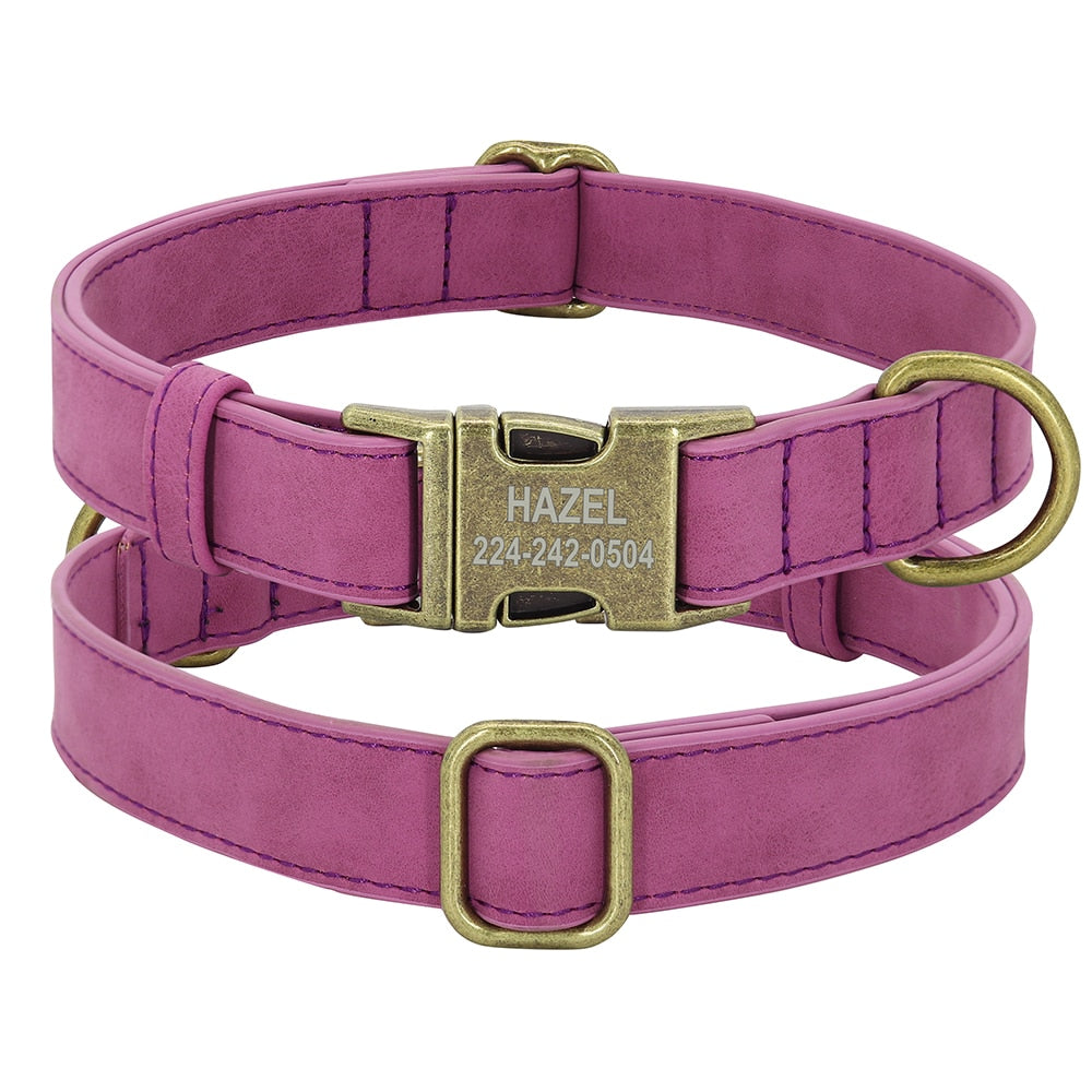 Personalised Buckle Collar