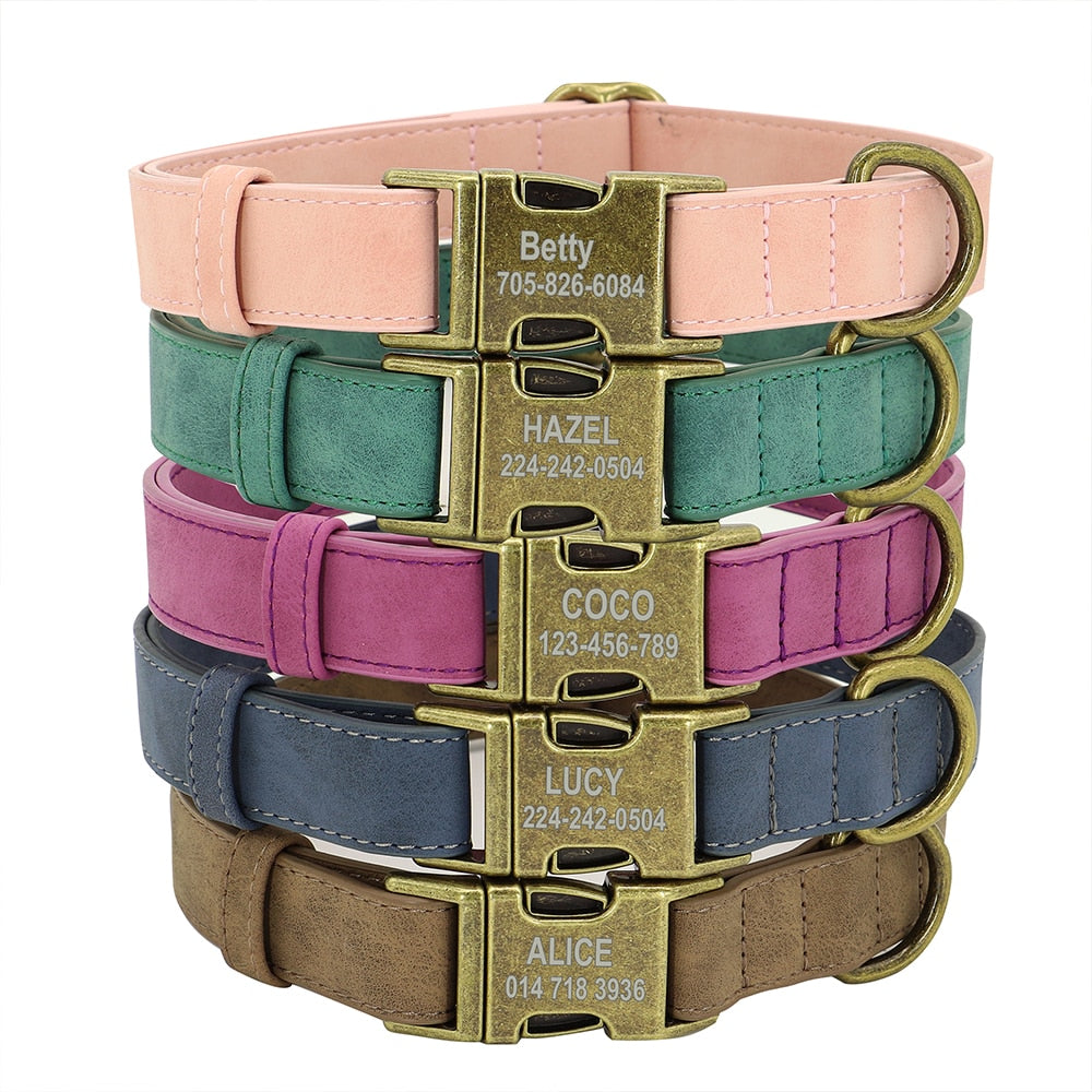 Personalised Buckle Collar