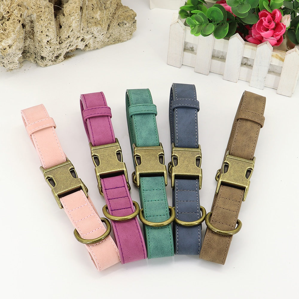 Personalised Buckle Collar