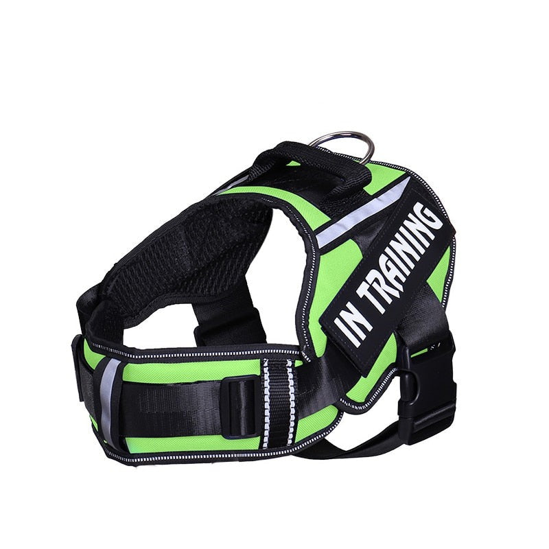 Personalised No-Pull Harness