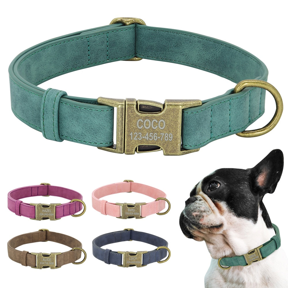 Personalised Buckle Collar